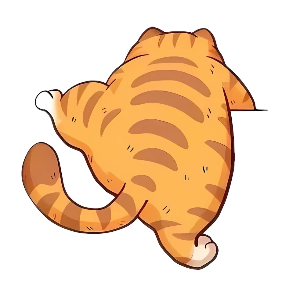 A tabby cat walking across the divider between sections