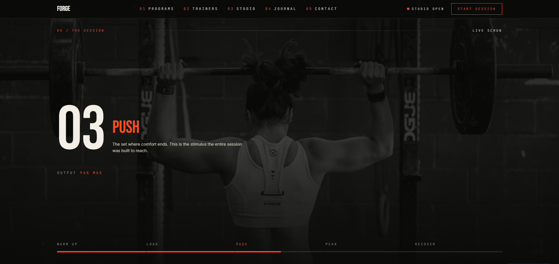 Homepage preview for this template