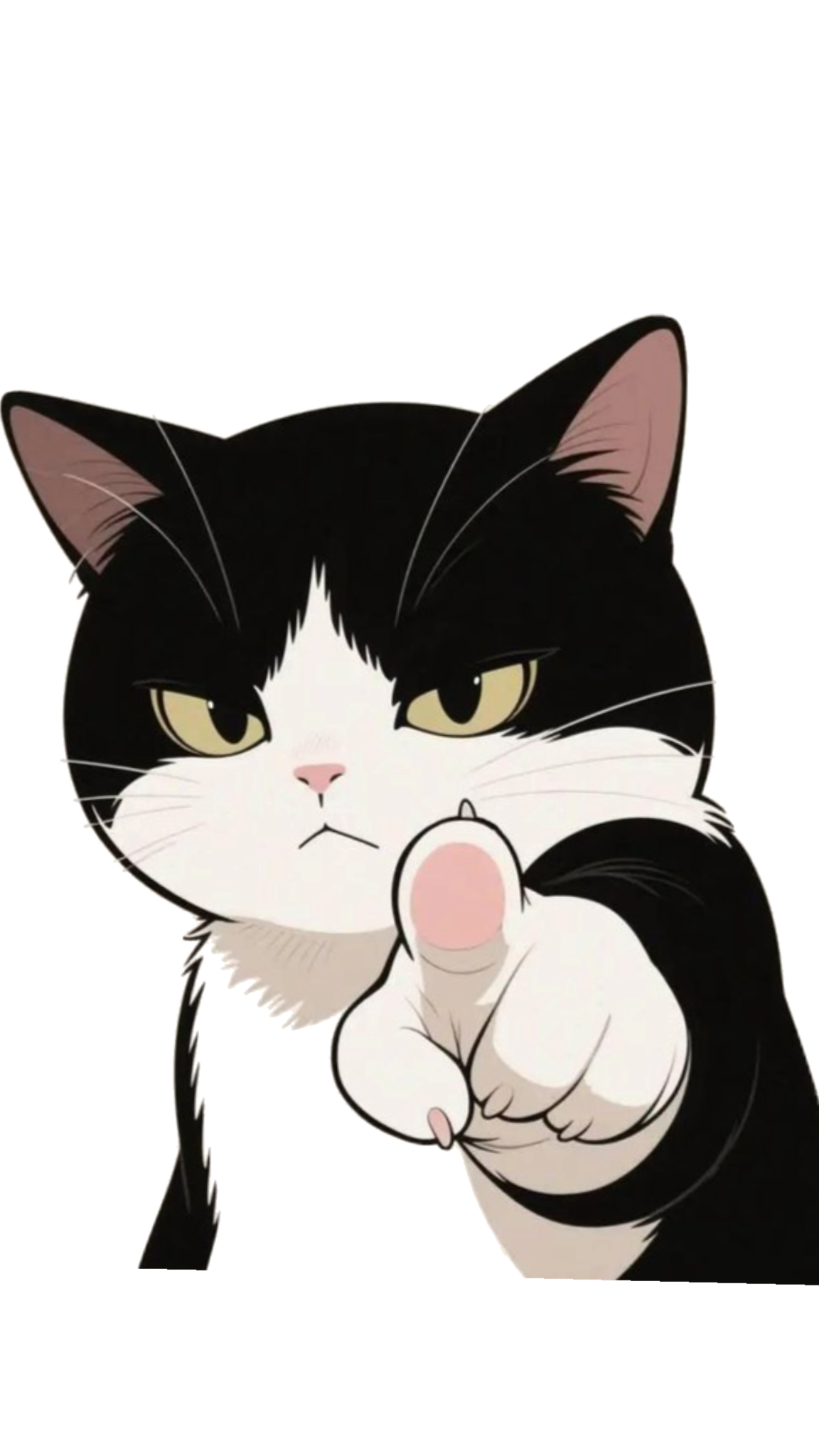 A cat pointing toward the collection, as if recommending a favorite